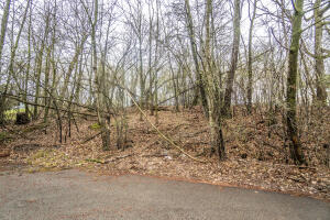 Lt1  Thoma Park  Dr in West Bend wi. List Price: $187,500